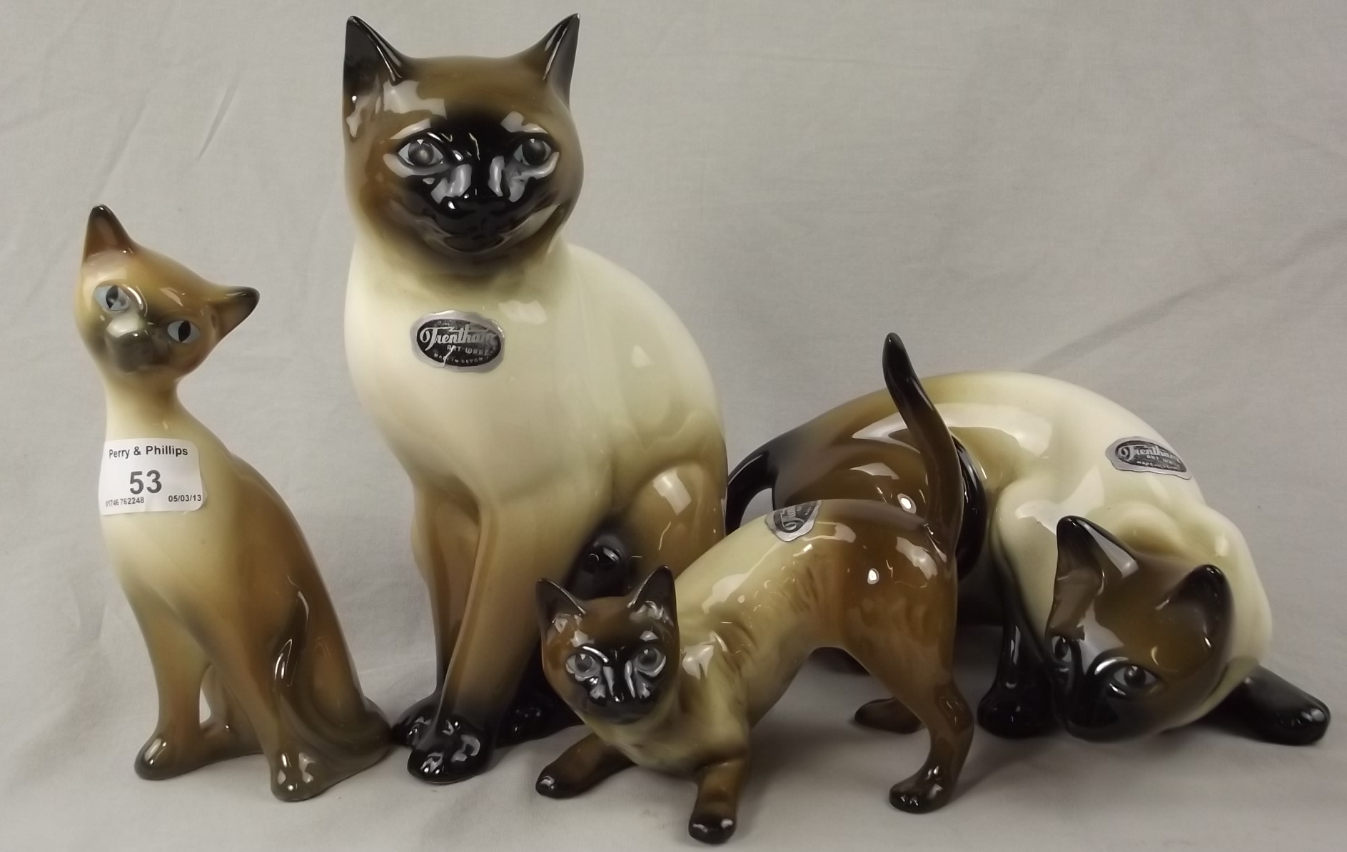 Four Trentham Siamese Cats