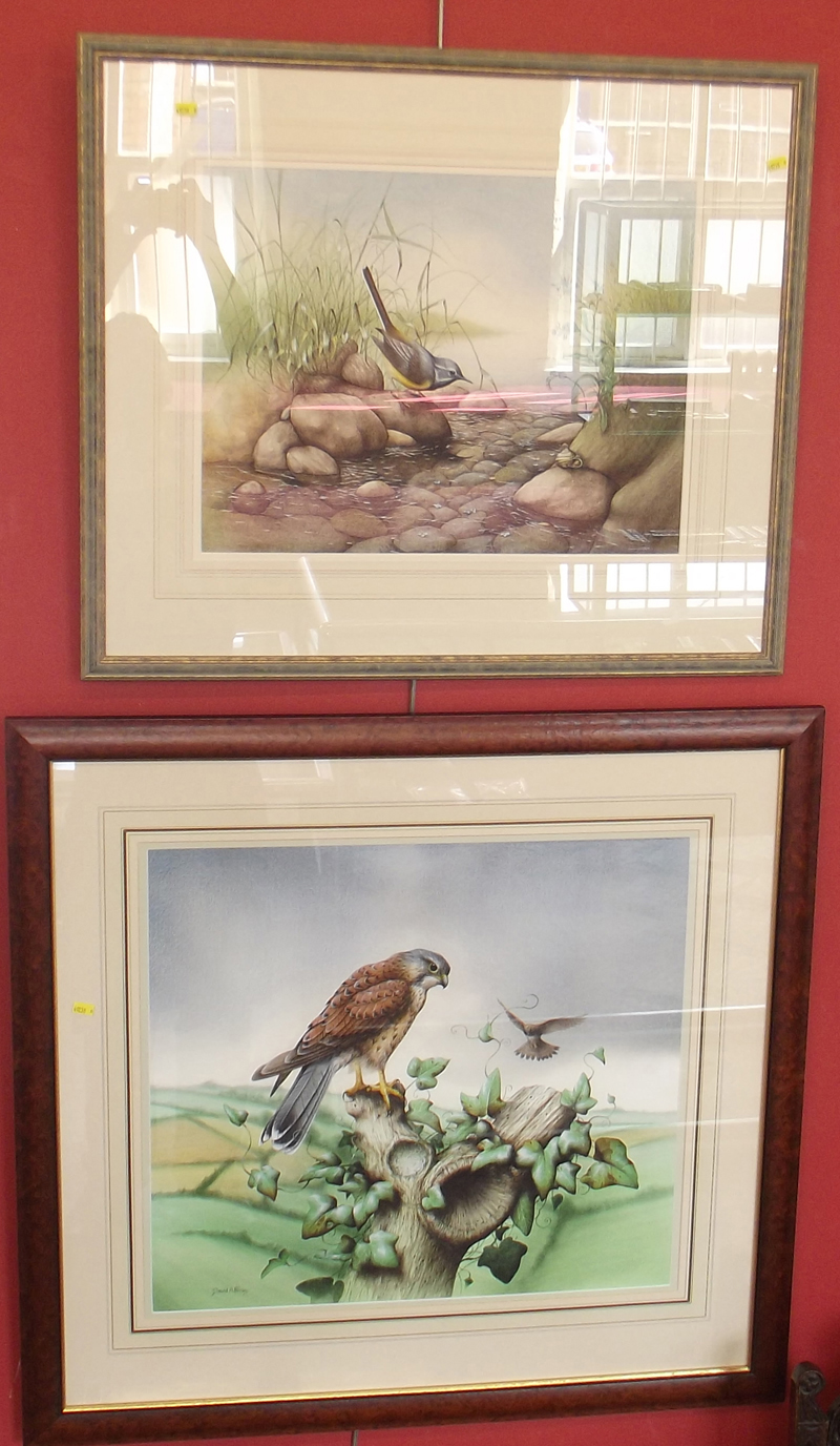 David A. Finney - Bird studies, watercolour (2).  Condition report: see terms and conditions