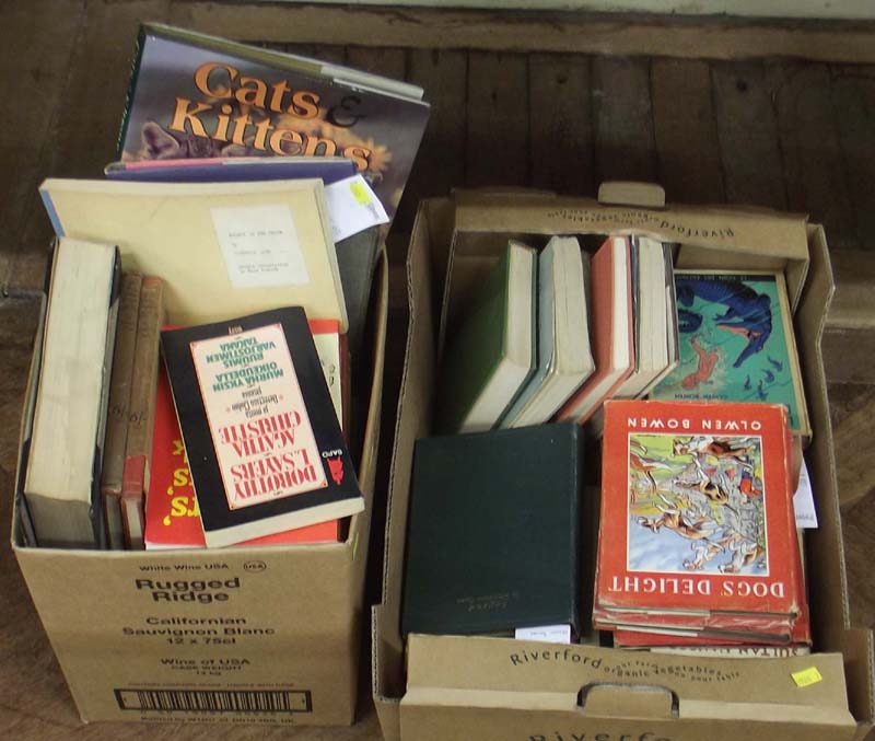 34 Clemence Dane books and 15 Olwen Bowen books etc.