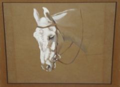 MABEL AUGUSTA KINGWELL (1890-1924) oil on paper, `Horse Study` circa 1920 signed across the neck,