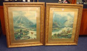 Pair highland cattle prints in original gilt frames, maximum size 73cm x 60cm