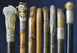Collection of assorted walking sticks including carved wood, silver handled, faux bamboo etc (8)