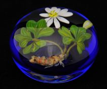 Paul Stankard paperweight inscribed `EXP B227 1981 Flowers and Root` (boxed)