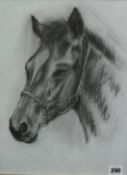 A pencil sketch `Horse Head` study, unsigned, 30cm x40cm