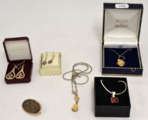 Various jewellery including 9ct gold locket on fine chain, drop earrings and silver and other drop