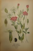 Step (Edward & Watson, William) `Favourite Flowers of Garden and Greenhouse`, 4 volumes, pub Warne