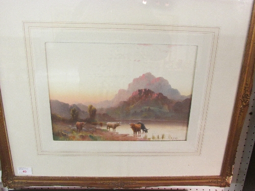 Watercolour of horned cattle by lake with mountain beyond, signed D Cooper (?) lower right, 25cm x