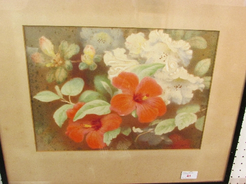 A. M. Youngman - `Hibiscus`, watercolour, 36cm x 25cm, framed and glazed