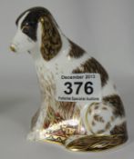 Royal Crown Derby Paperweight Molly the Spaniel , collectors club piece, boxed