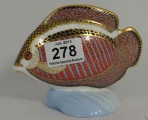 Royal Crown Derby Paperweight Tropical Fish Gourami, Boxed