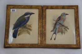 Pair of Signed Audubon Watermarked Pictures of Birds in Gilt Frames