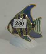Royal Crown Derby Paperweight Tropical Fish, Angel Fish, Boxed