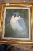 A Gilt Framed Oil Painting of a Peregrin Falcon by A Weston stamped Bank Street Gallery, Newquay