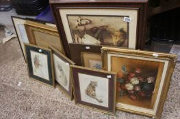 A collection of 8 Prints Framed in various shapes and sizes depicting Flowers, Animals etc