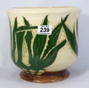 Moorcroft Large Pineapple Plant Jardiniere by Walter Moorcroft, Limited Edition of 100, signed and