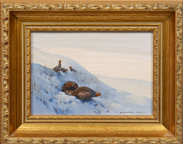 Berrisford Hill, twentieth century watercolour study of English partridge in the snow, signed, in