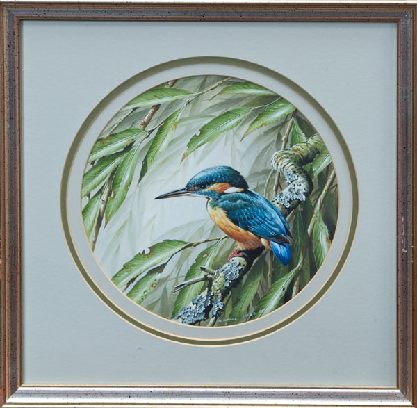 Terence James Bond (b. 1946), good quality gouache study of a Kingfisher upon a branch, signed, in