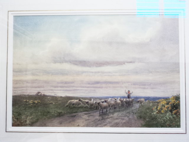 Max Ludby, R.I. [1858-1943] - watercolour, A View of a Shepherd Herding Sheep in a moorland