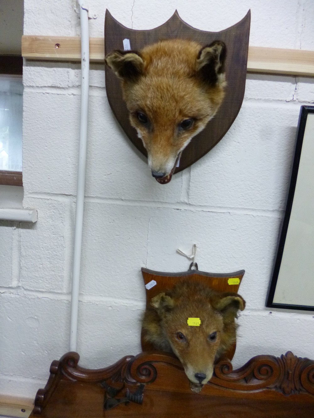 A TAXIDERMY FOX MASK, on an oak shield plaque and another fox mask on plaque (2)