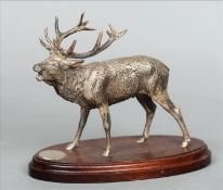 A late 20th century silver model of a stag Naturalistically modelled, standing on a stepped wooden