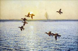 *AR JULIAN NOVOROL (born 1949) British Teal Across the Sun Oils on board Signed and dated 1988 34