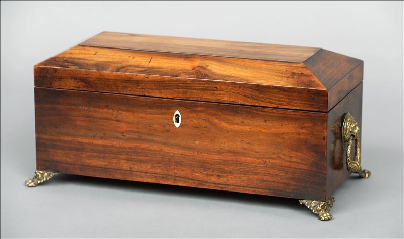 A 19th century Goncalo Alvez tea caddy Of elongated sarcophagus form, the hinged rectangular lid