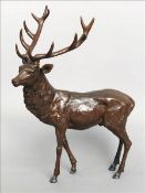 A patinated bronze model of a stag Modelled naturalistically. 60 cms wide. Overall good, some