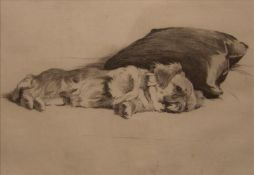 CECIL CHARLES WINDSOR ALDIN (1870-1935) British Pekinese Dry point etching Signed in pencil in the