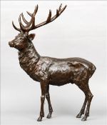 A bronze model of a stag Naturalistically modelled standing. 72 cms high. Overall good.