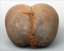 A coco de mer Typically formed and unpolished. 32 cms high. Slight splitting to centre, husk losses,