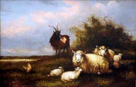 A. JACKSON (19th/20th century) British Goat and Sheep in a Rural Landscape Oil on board Signed 28.