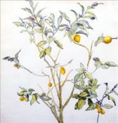 Attributed to CHARLES FAIRFAX MURRAY (1849-1919) British A Lemon Tree Pencil and watercolour 23.5