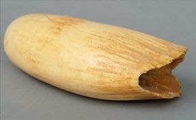 A 19th century Fijian whale`s tooth tabua With sparsely incised primitive decoration and