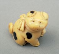 A 19th century carved ivory netsuke Formed as a dog wearing a collar and lead. 3.5 cms high. Chip to