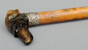 A Victorian silver collared walking stick The handle formed as a carved horn dog’s head. 90 cms