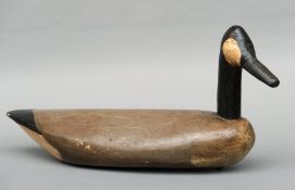 A carved and painted wooden decoy Canada goose Naturalistically modelled with inset glass eyes. 75