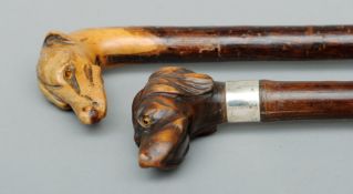 A Victorian carved wooden dog’s head handle walking stick With inset glass eyes above a silver