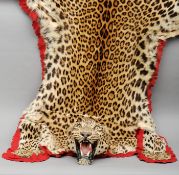 An early 20th century leopard skin rug, circa 1900, probably Van Ingen & Van Ingen The head with