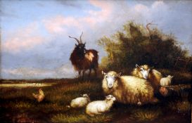 A. JACKSON (19th/20th century) British Goat and Sheep in a Rural Landscape Oil on board Signed 28.