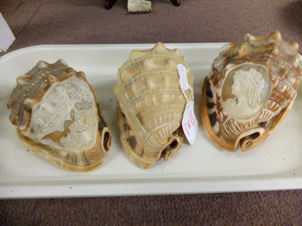 Three conch shells, one having carved volcano scene