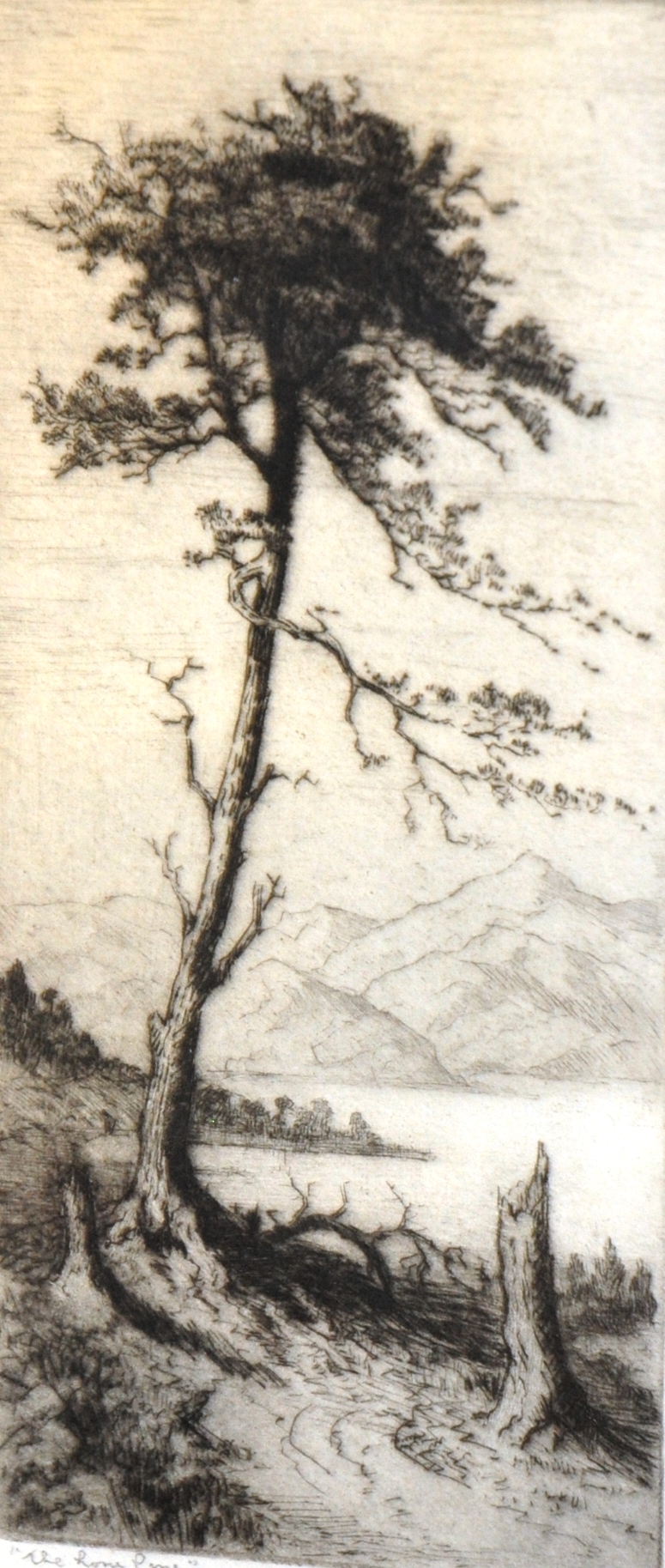 J Brewer `The Long Pine` Etching, signed in pencil, 27 x 12cm