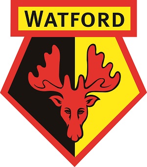 Watford FC VIP Hospitality Package. This is a superb opportunity for you and three guests to watch a