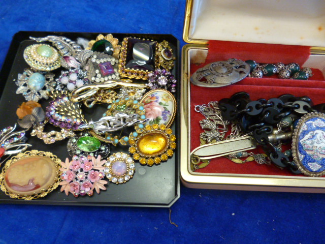 A collection of costume jewellery, mainly brooches (parcel)