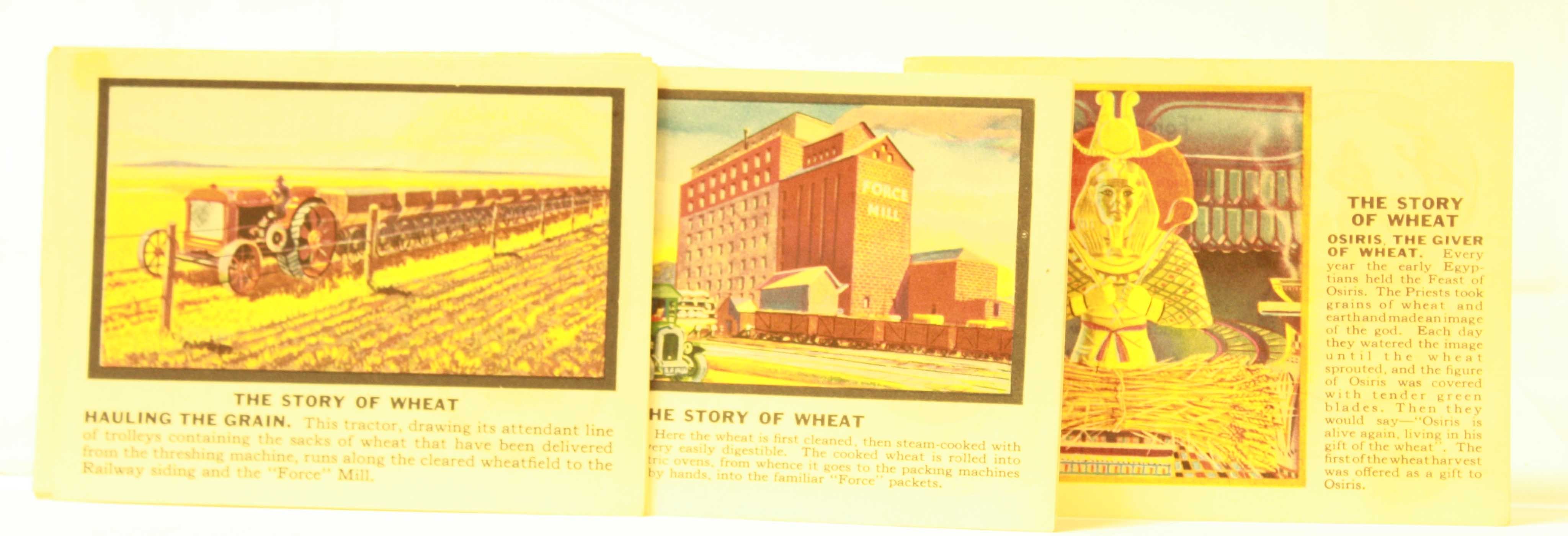 Trade cards, Fincken & Co, `The Story of Wheat`, (10/12, large paper issue cards (1 creased, rest