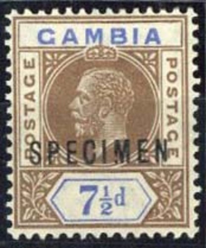 Gambia George V Issues 1912-22 Issue 7½d. brown and blue overprinted "specimen" with broken "m",