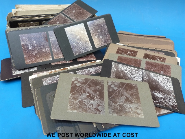 A large collection of stereoscope slides of botanical and natural history / ornothological