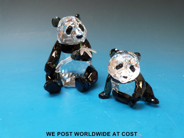 Swarovski panda and cub SCS 2008 limited edition, all in original boxes.