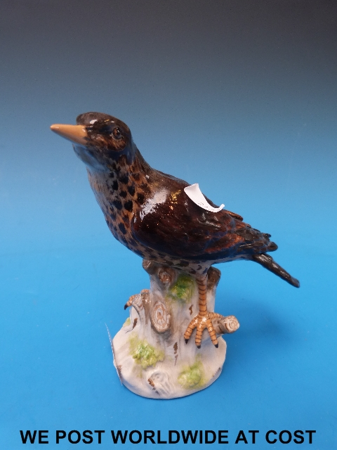 Good quality Meissen style bird figure under glazed blue "R" mark (16cm/13.5in high)