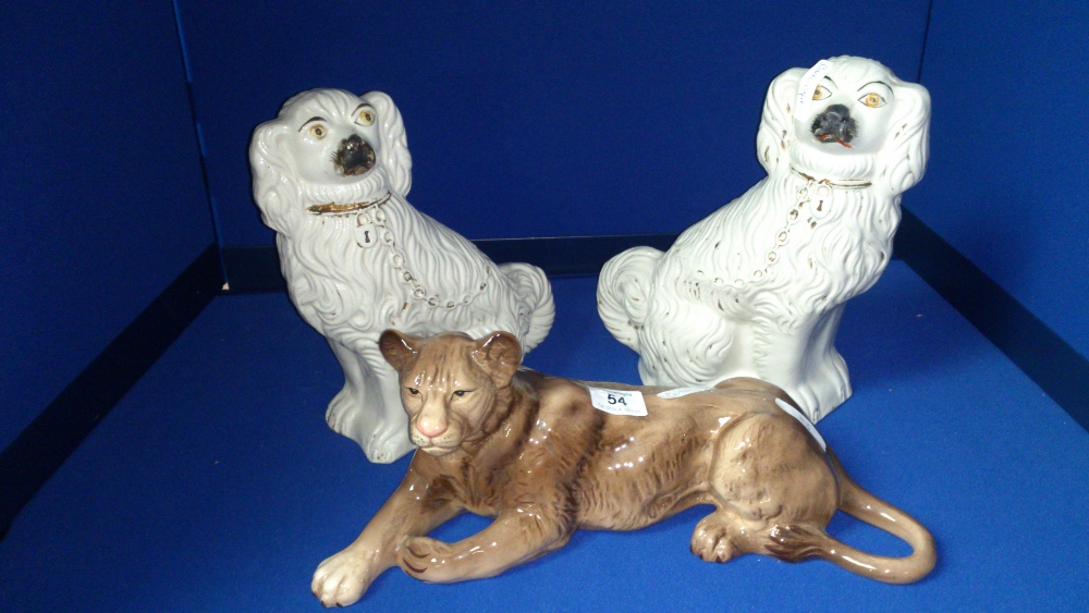 Melba` Lioness and pair staff. Dogs