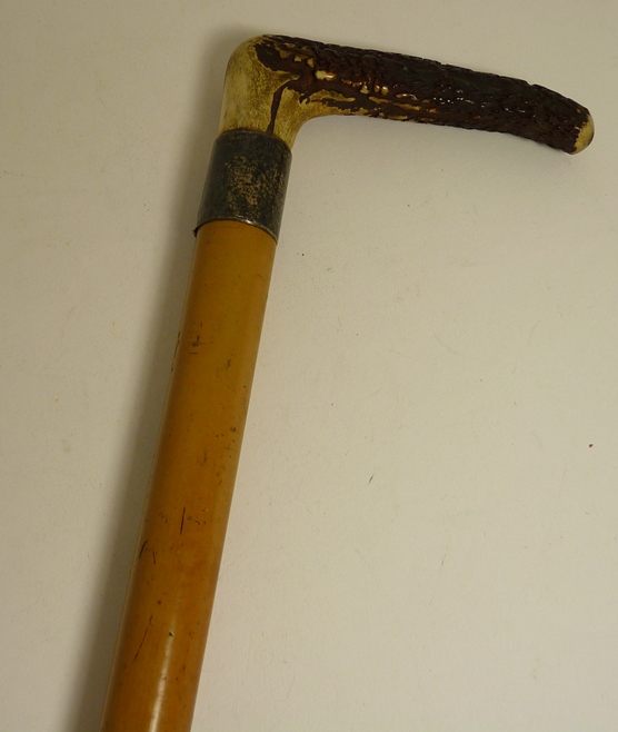 A malacca walking stick with antler handle and silver band engraved "Mr H Wells" and with original